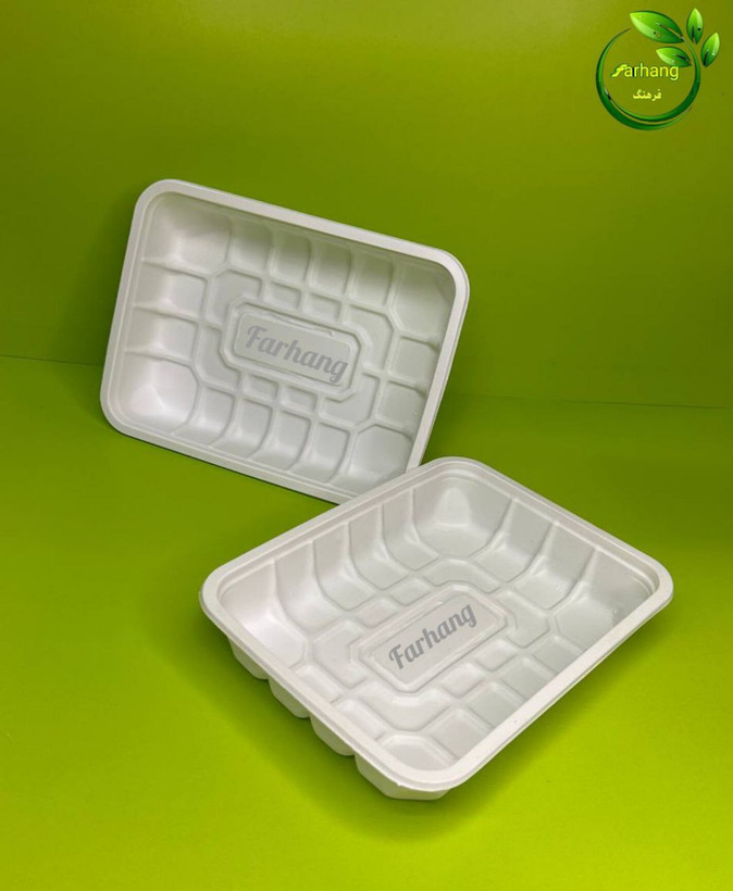 تک پرس گیاهی و شفاف